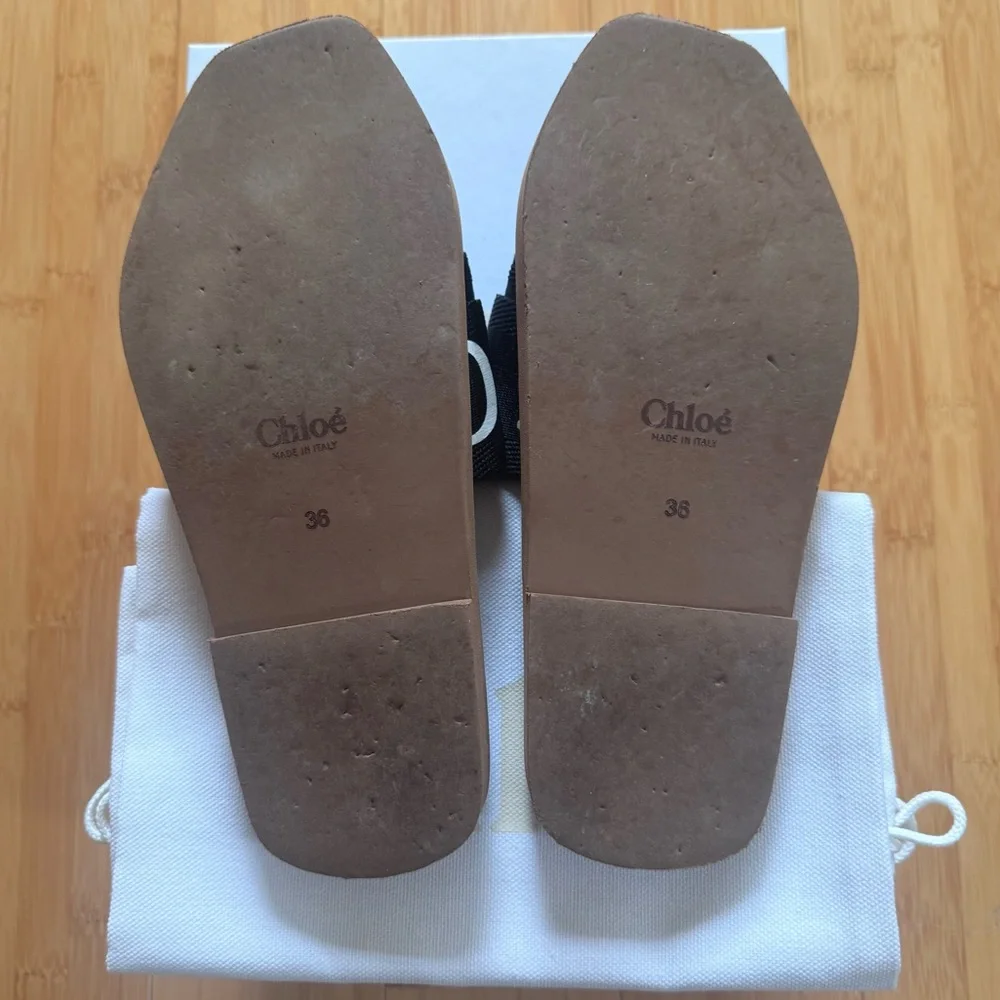 Chloe Woody Flat Mule in Black